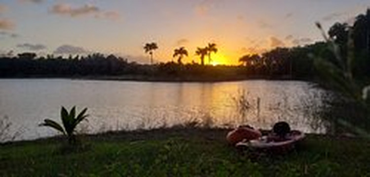 Aventureo PR-阿雷西沃必去景点