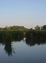 Oasi Naturale di Torre Abate景点图片