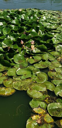 Journey at Pechanga-特曼库拉必去景点