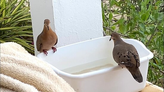 Carimar Beach Club主图