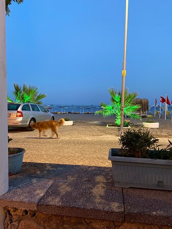 Assos Hunters Hotel (Special Class)主图