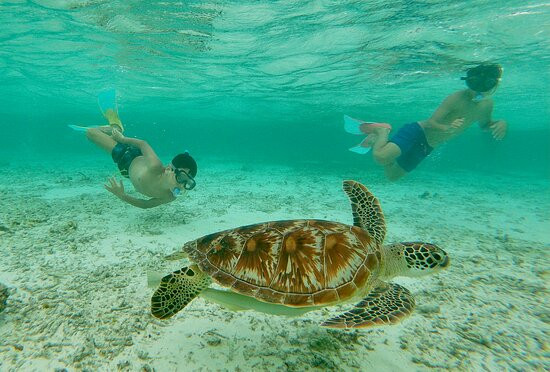 比亚户岛度假村主图