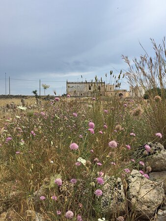 Masseria Palane-浴室