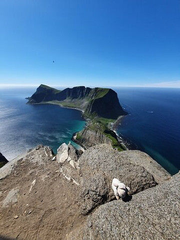 Arctic Travel Company-特罗姆瑟必去景点