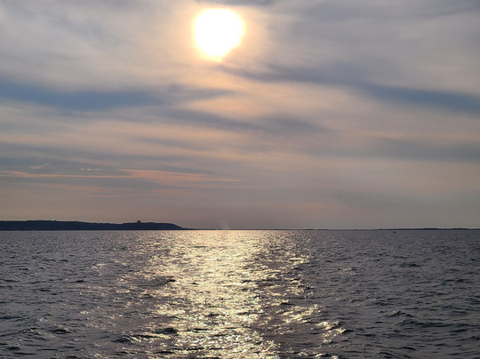 American Princess Cruises-布鲁克林必去景点