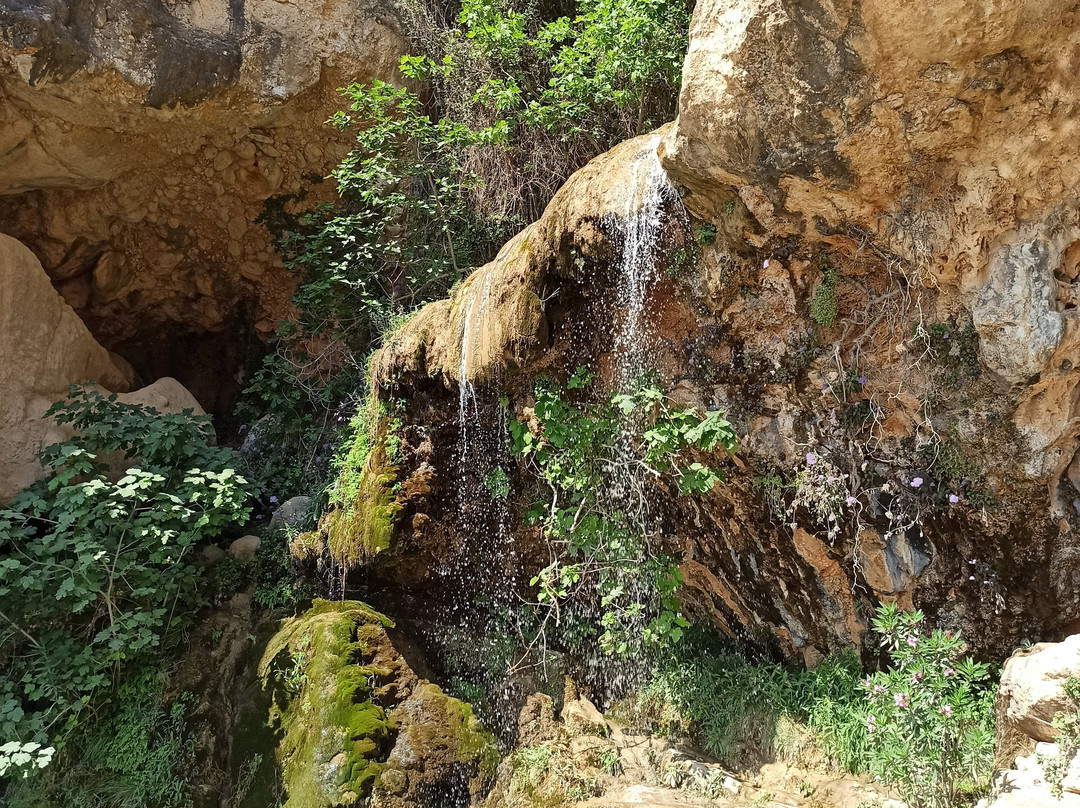 CUEVA DE LAS PALOMAS EN YATOVA景点图片