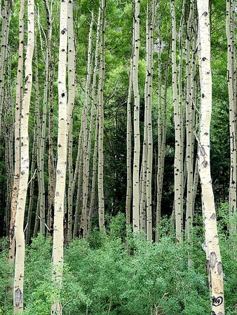 San Isabel National Forest-普韦布洛必去景点