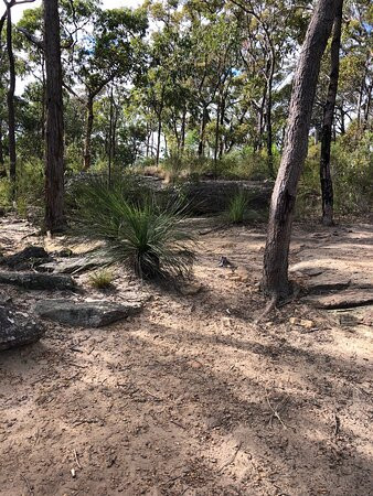 Olympic Drive Lookout