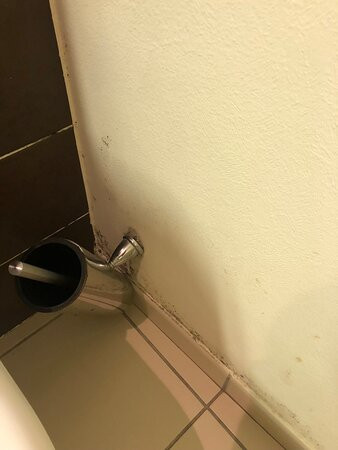 L'OSTREA Hotel主图