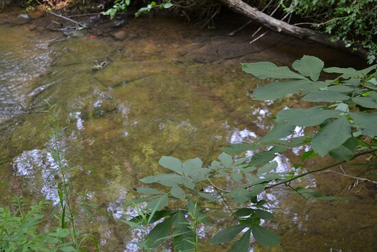 Stannard Quarry-Kirtland必去景点