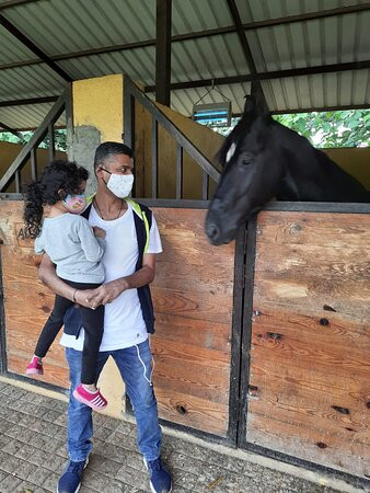 Grape County Eco Resort & Spa主图