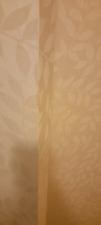 Holiday Inn & Suites 温莎（大使桥） by IHG主图