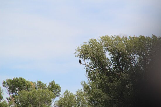 Teton Whitewater Rafting and Scenic Trips-杰克逊必去景点