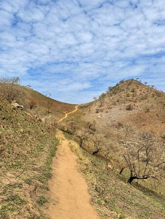 Monte Saboó-Sao Roque必去景点