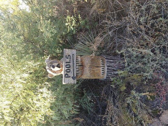 Faywood Hot Springs-Faywood必去景点