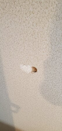 弗里波特快捷假日&套房酒店主图