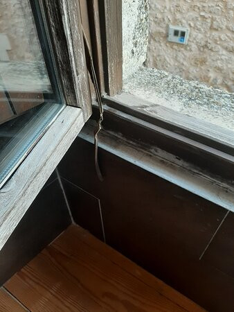 Palacio De Guzman主图