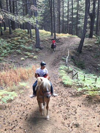 Etna Horse Paradise-Belpasso必去景点