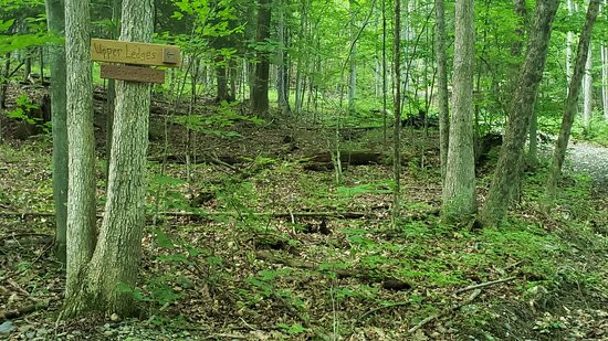 Slate Valley Trails-Poultney必去景点