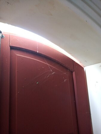 Hotel Villa Flora主图