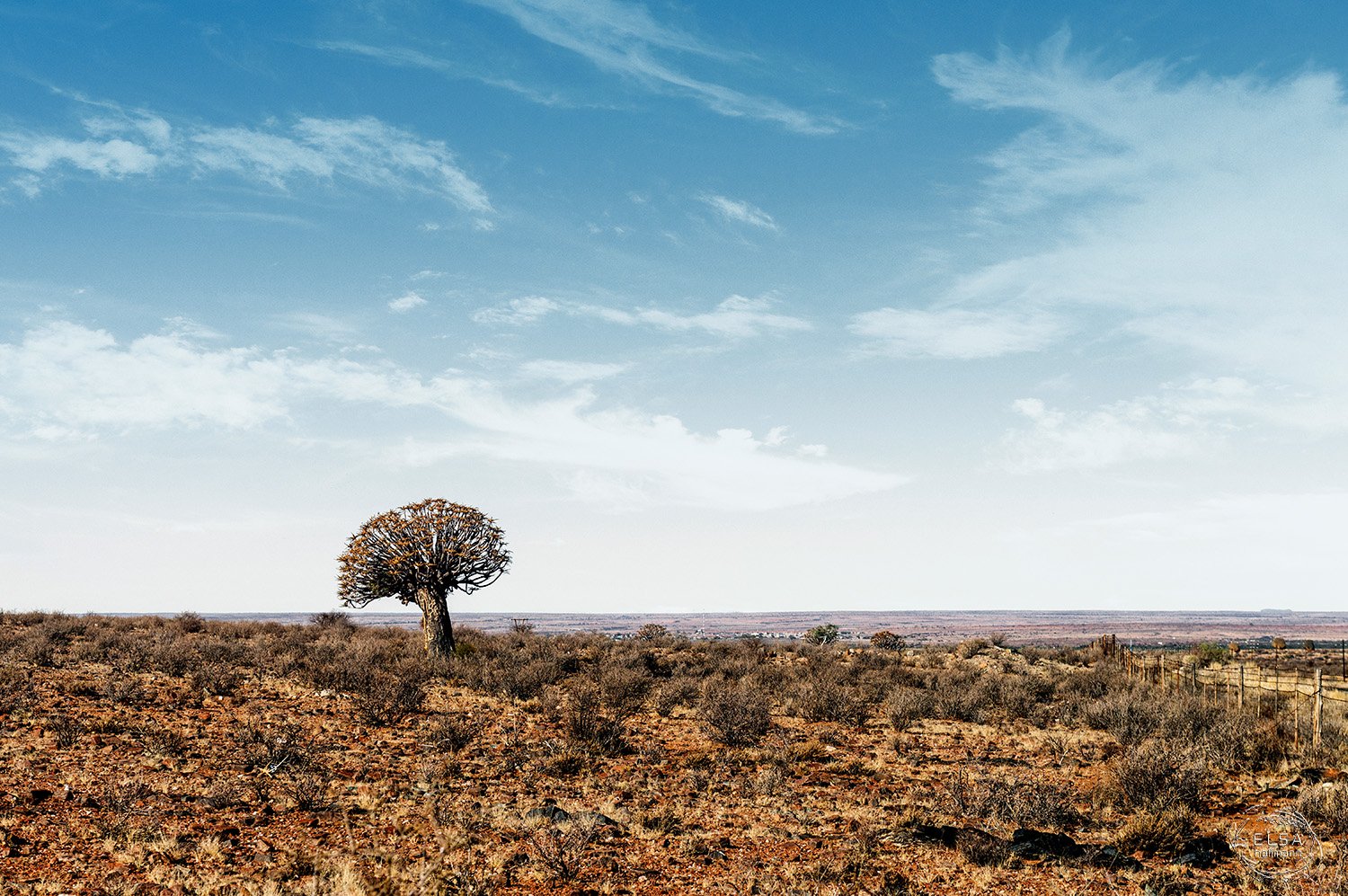 Kenhardt Hotel-官方