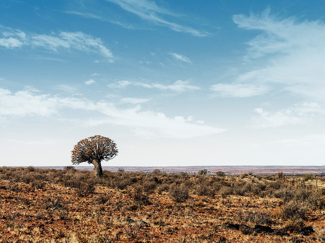 Kenhardt Hotel主图