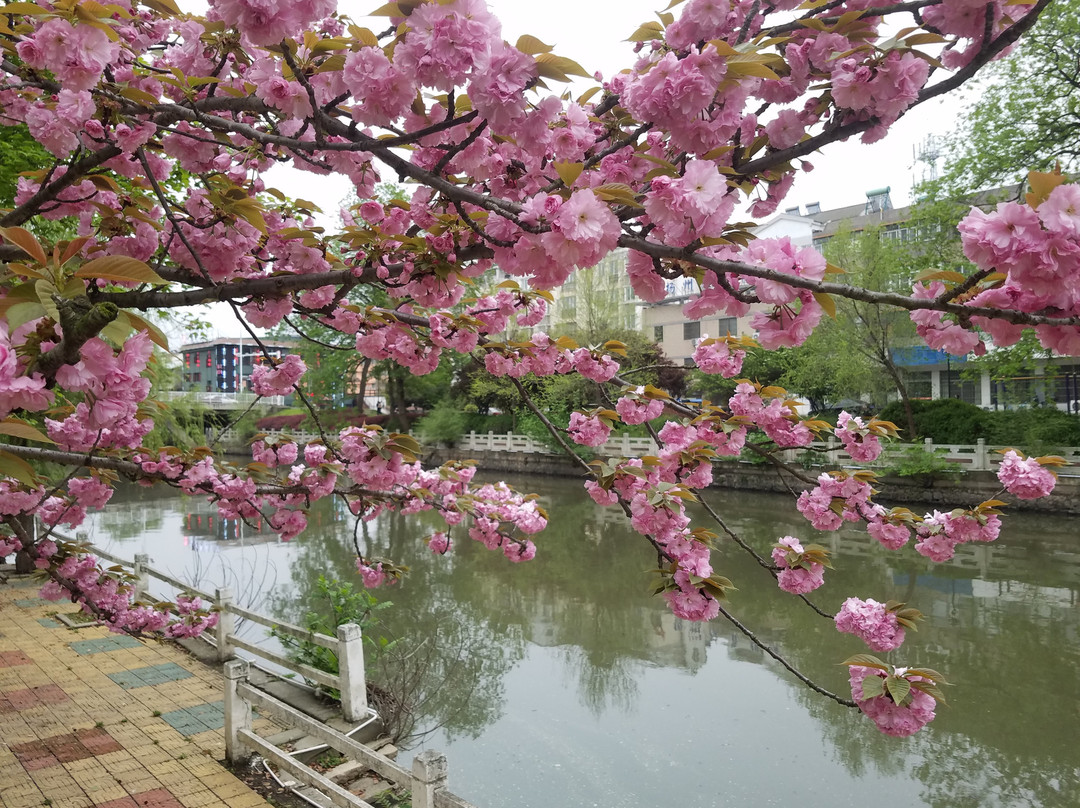 仪征旅游攻略图片