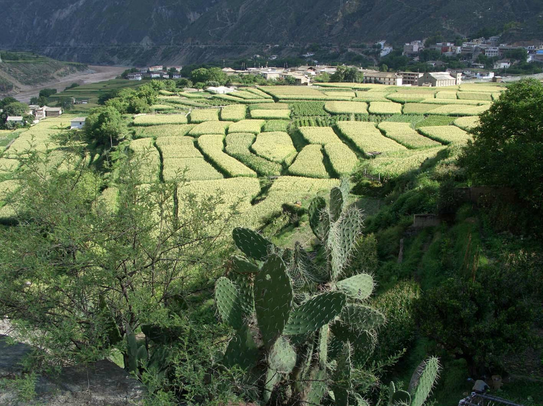 得荣县旅游攻略图片
