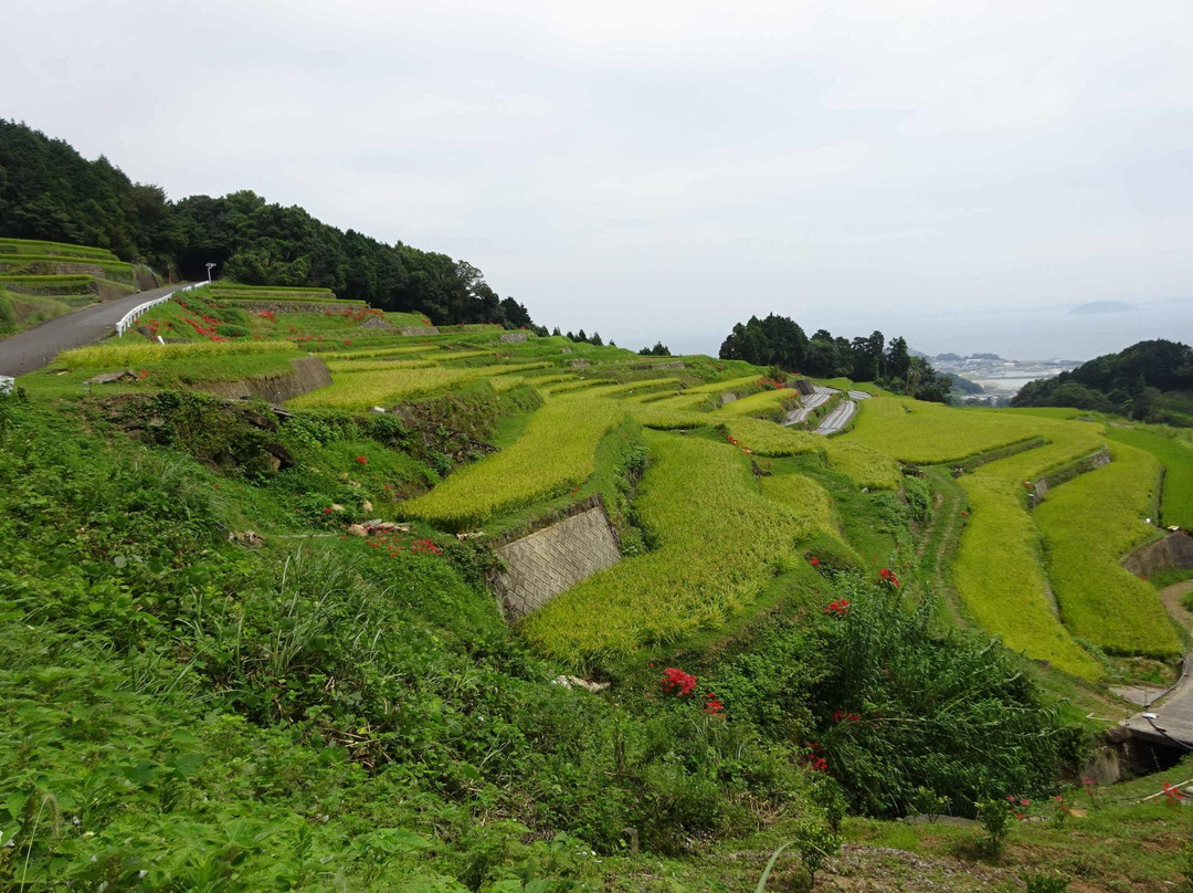 Tanimizu Rice Terrace景点图片