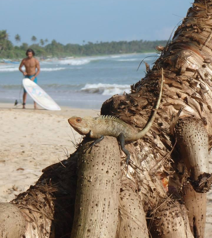 Soulsurf Weligama-瓦勒迦玛必去景点