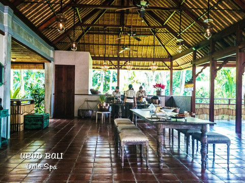 巴厘岛乌布DALA SPA-乌布必去景点