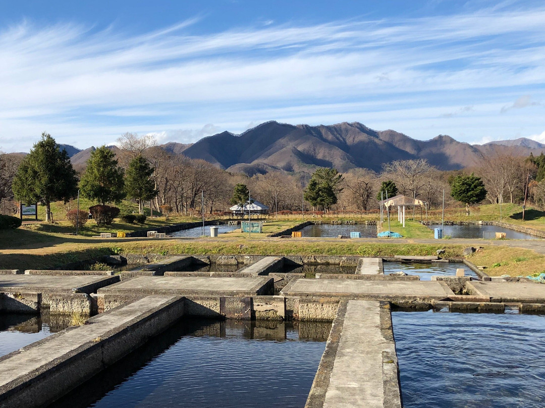 Yoson Park Ikoi no Hiroba景点图片
