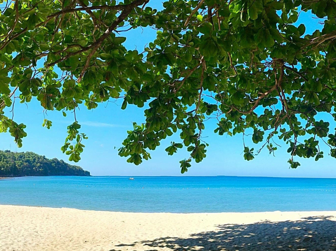 New Bataan旅游攻略图片