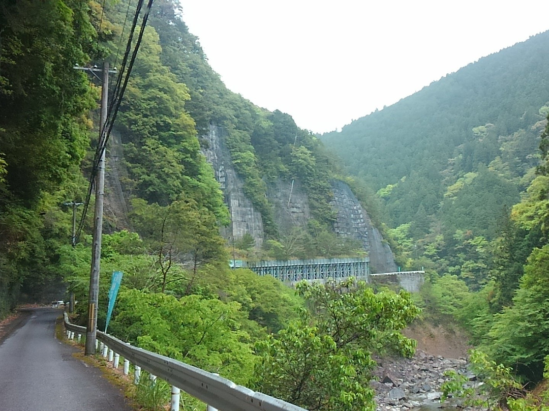 Totsukawa 21 Century Forest Botanical Park景点图片