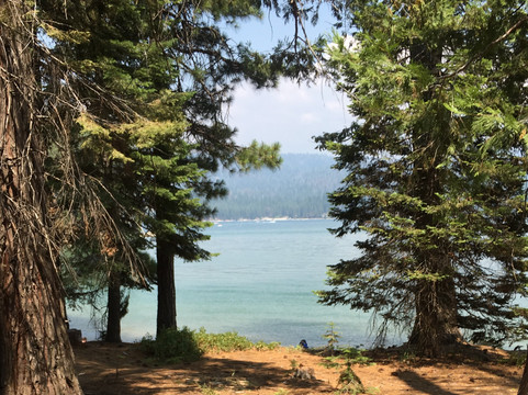 Shaver Stable-Shaver Lake必去景点