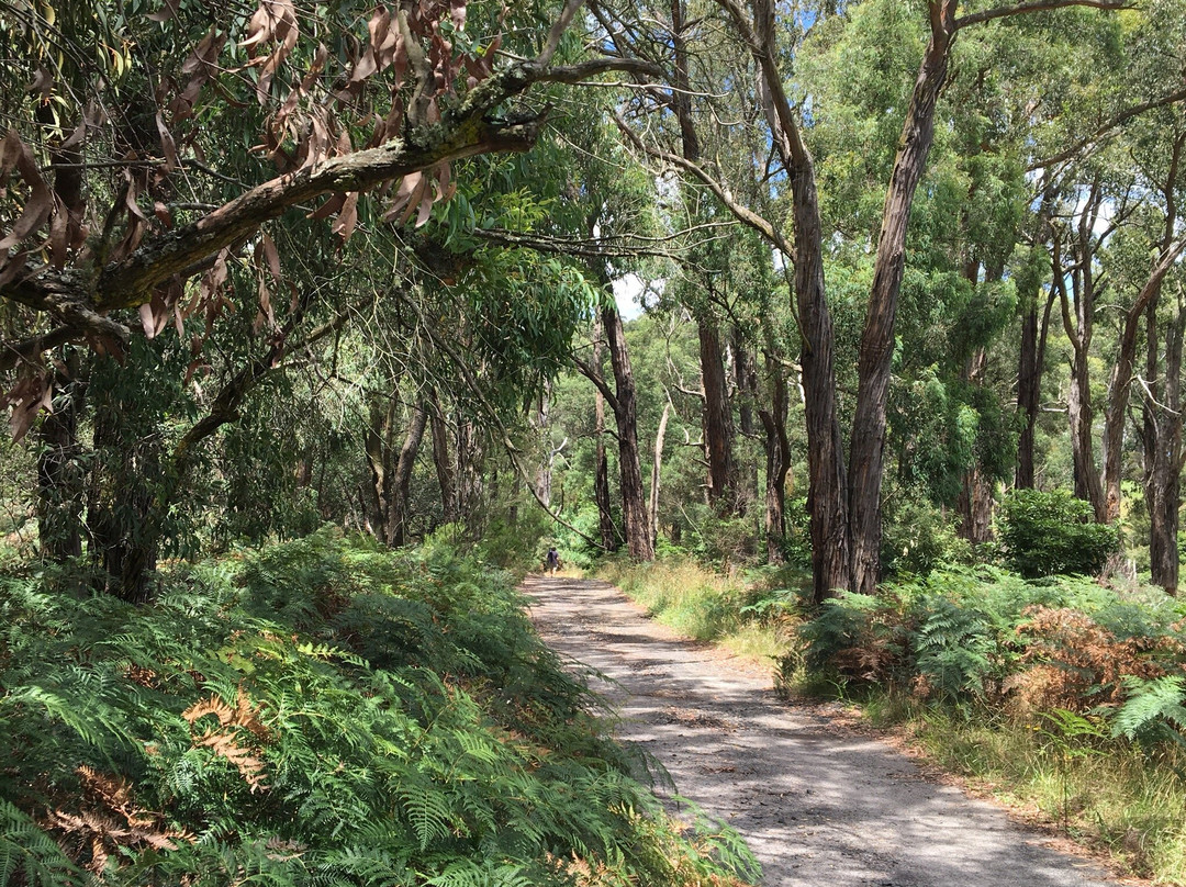 Wuchatsch Reserve-Nyora必去景点