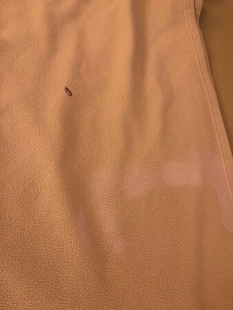 Best Western Plus Poconos Hotel主图