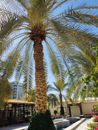 Grand Mosque-Kuwait City必去景点