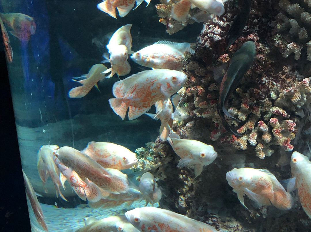 四季花海城市花园