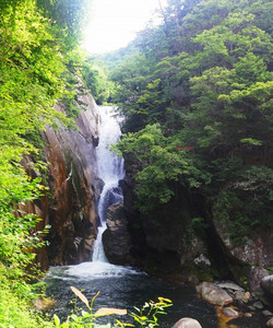 Senga Waterfall景点门票图片