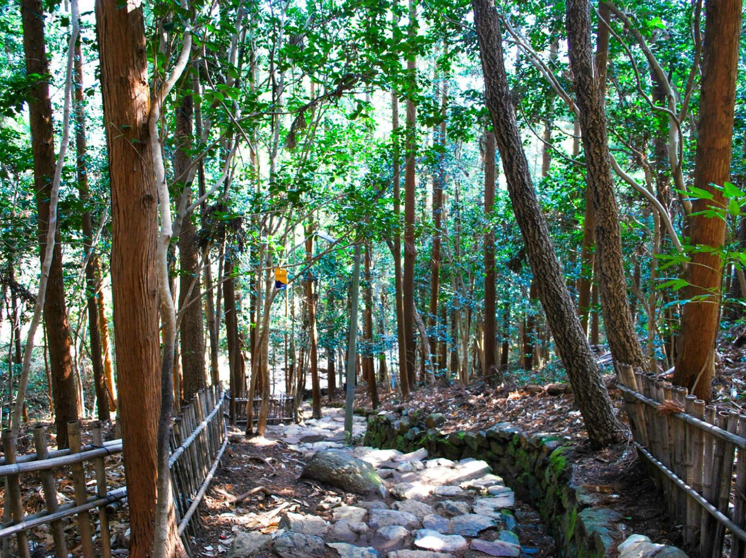 康津郡旅游攻略图片