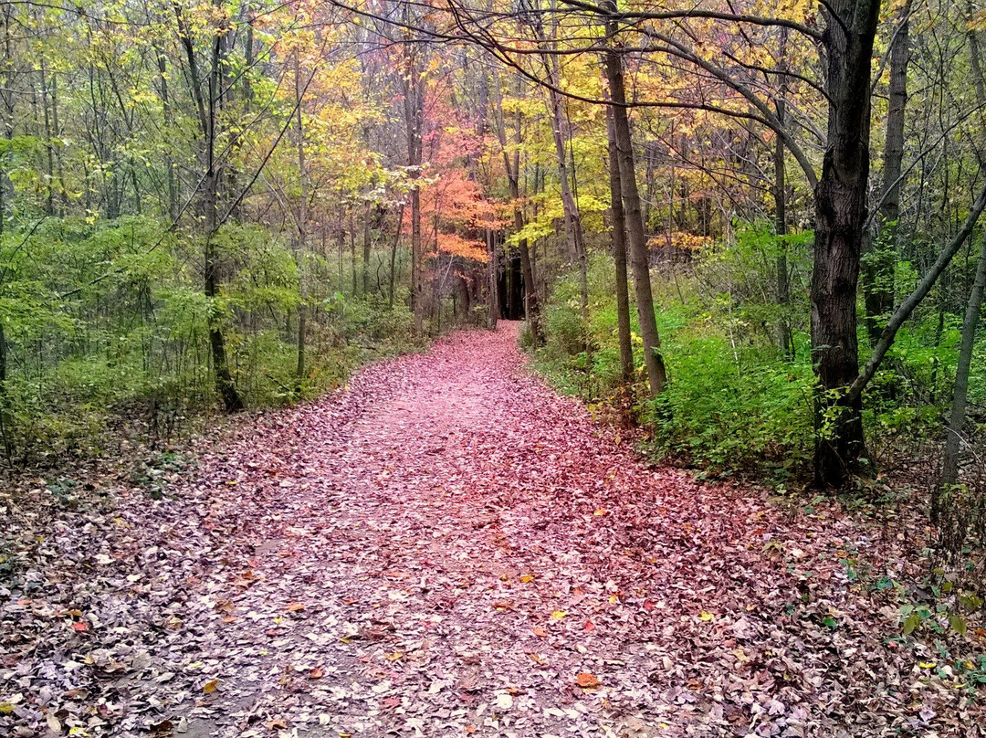 Silver Creek Metro Park景点图片