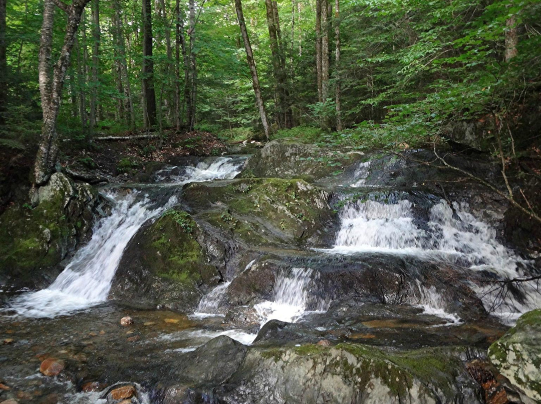 Savoy旅游攻略图片