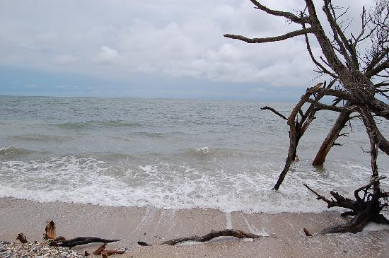 Botany Bay Ecotours景点图片