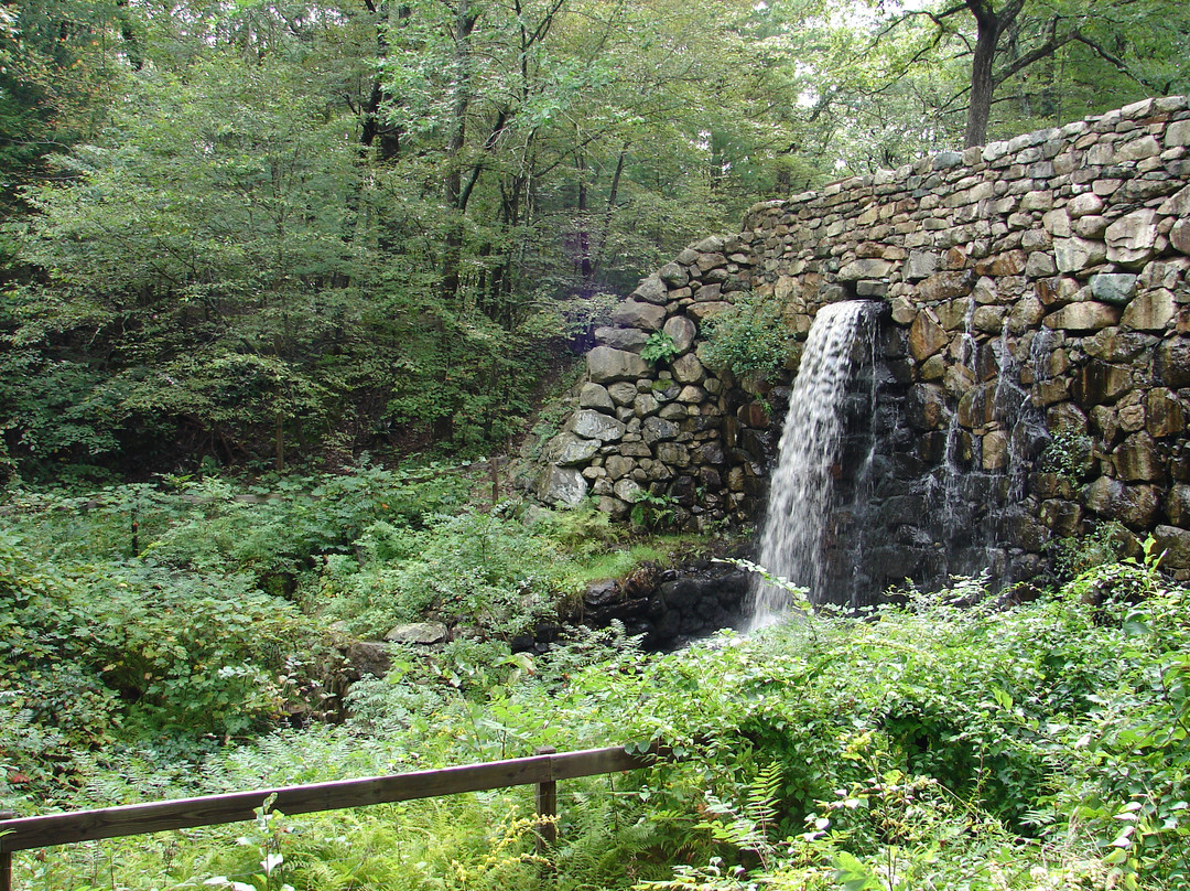 Noanet Woodlands景点图片