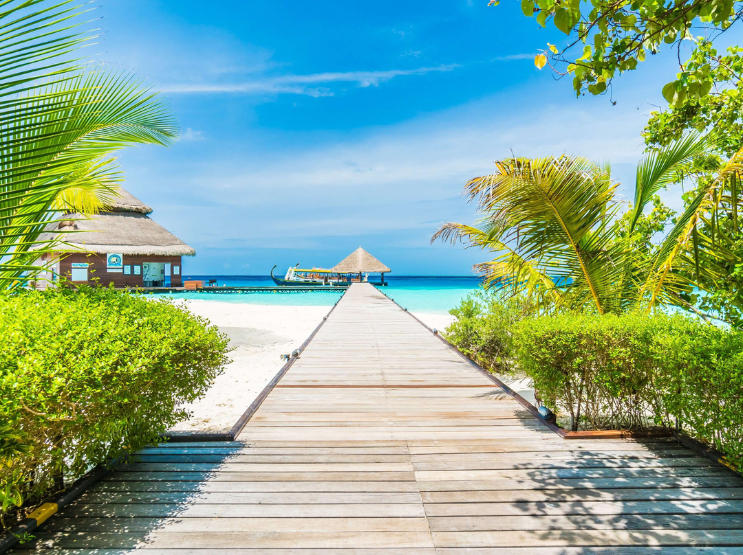 Wooden Ecr Sea Resort