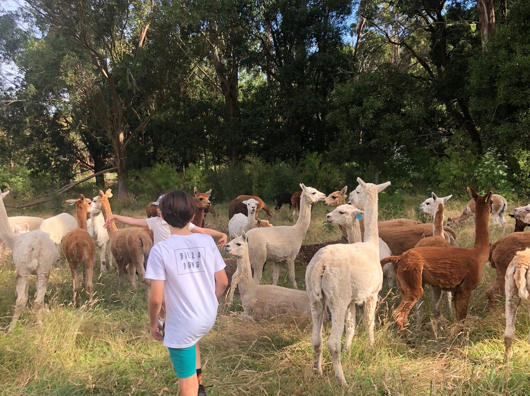 Pennyroyal旅游攻略图片