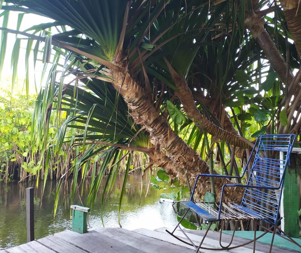 Pousada Fazenda Vila Flor