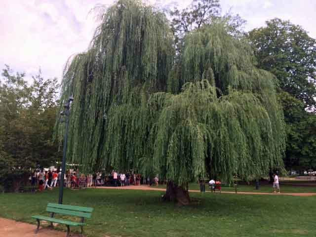 安纳西旅游景点-Jardins de l'Europe
