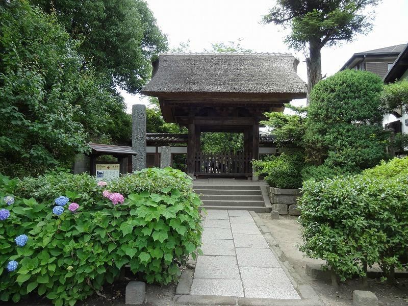 Gokurakuji Temple-镰仓市必去景点